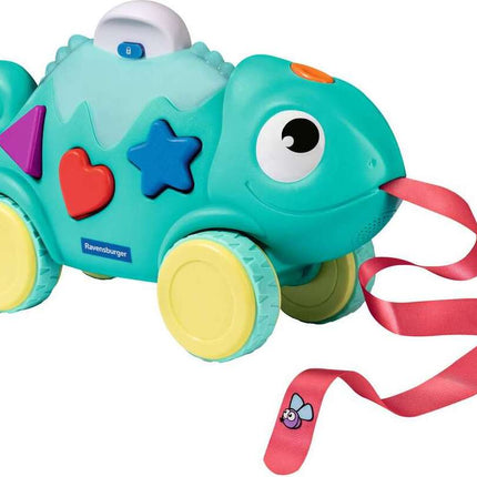 Color & Shape Sorter: Chameleon*