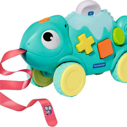 Color & Shape Sorter: Chameleon*
