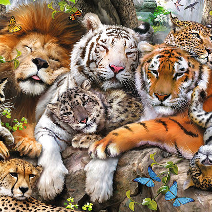 Big Cat Nap