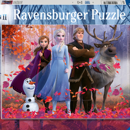 Frozen 2: Magic Of The Forest