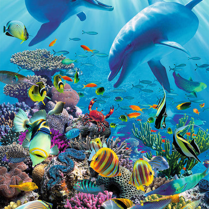 Underwater Adventure