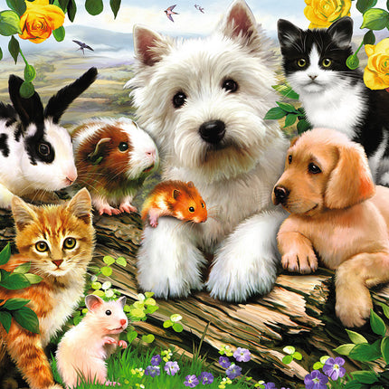 Happy Animal Buddies