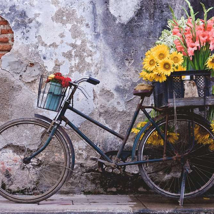 Puzzle Moments: Bicycle (200 pc Puzzles)