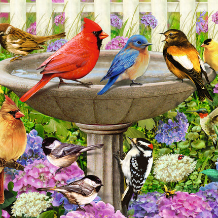 At the Birdbath