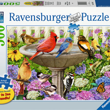 At the Birdbath