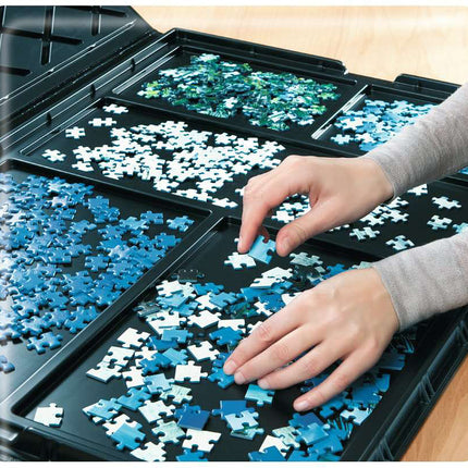 Puzzle Store
