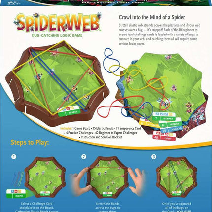 Spider Web game