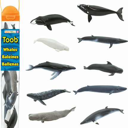 Whales TOOB®