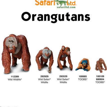 Endangered Species - Land TOOB®