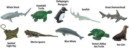 Endangered Species - Marine TOOB®