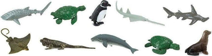 Endangered Species - Marine TOOB®