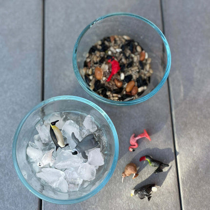 Birds Fun Pack