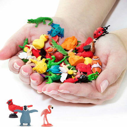 Birds Fun Pack