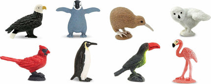Birds Fun Pack