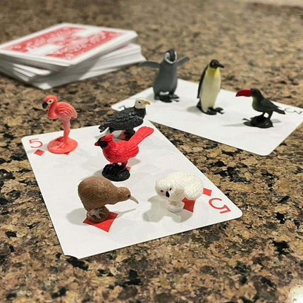 Birds Fun Pack