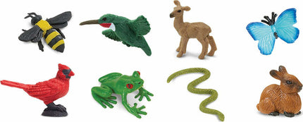Backyard Fun Pack