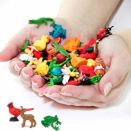 Backyard Fun Pack