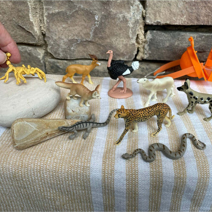 Sahara Desert Animals TOOB