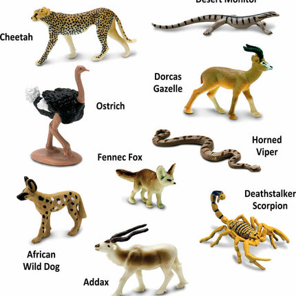 Sahara Desert Animals TOOB