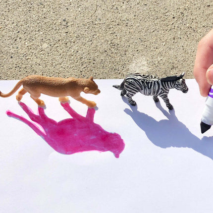 South African Animals TOOB®