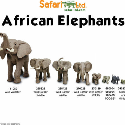 South African Animals TOOB®