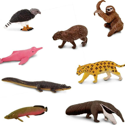 South American Animals TOOB®