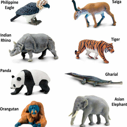 Asian Animals TOOB
