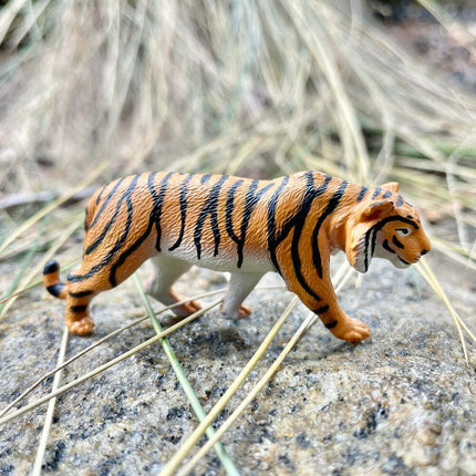 Asian Animals TOOB