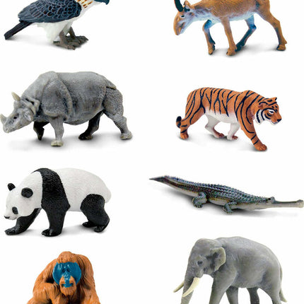 Asian Animals TOOB
