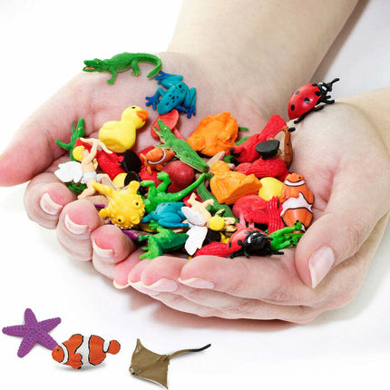 Ocean Fun Pack