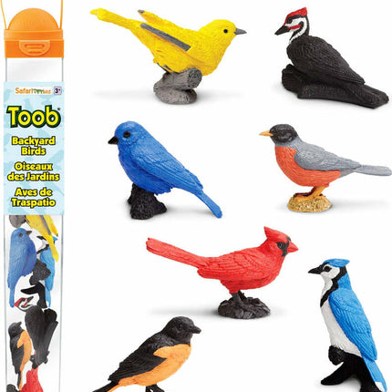 Backyard Birds TOOB®