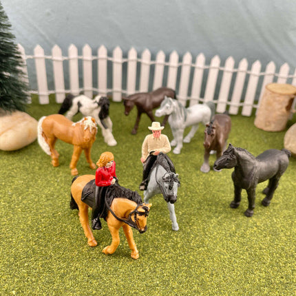 Horses & Riders TOOB®