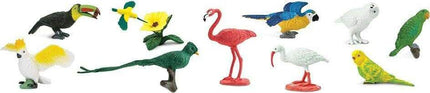 Exotic Birds TOOB®
