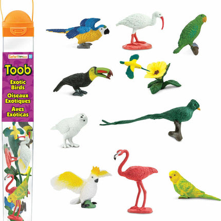 Exotic Birds TOOB®