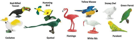 Exotic Birds TOOB®