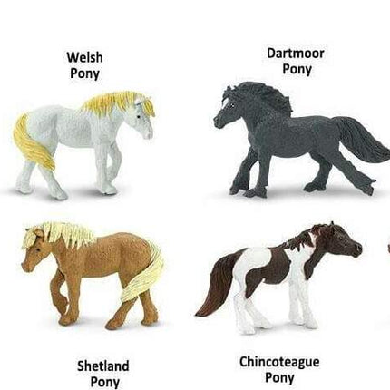 Ponies TOOB®