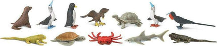 Galapagos TOOB®