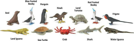 Galapagos TOOB®