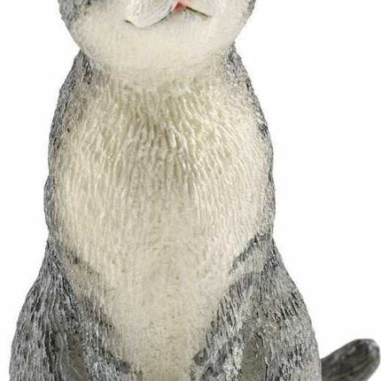 Cat, Sitting
