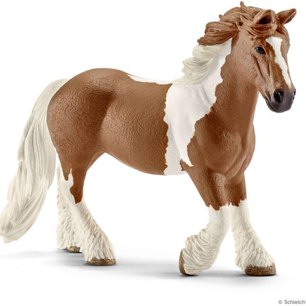 Tinker Mare