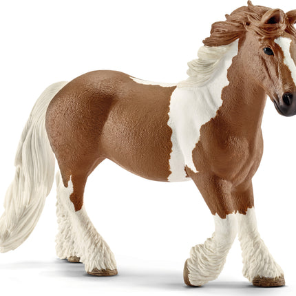 Tinker Mare