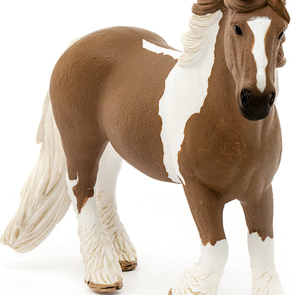 Tinker Mare