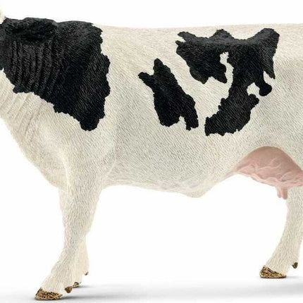 Holstein Cow