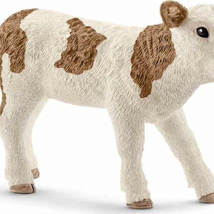 Simmental Calf