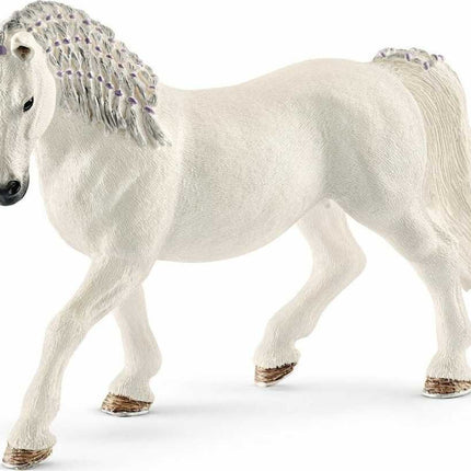 Lipizzaner Mare