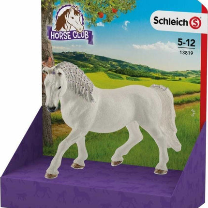 Lipizzaner Mare