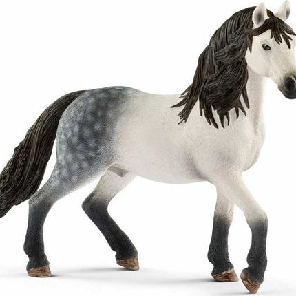 Andalusian Stallion
