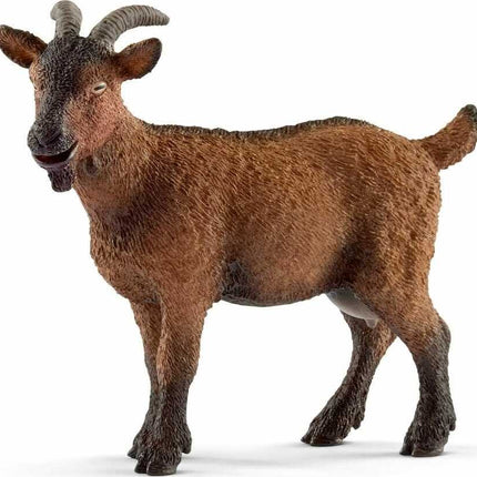 Goat