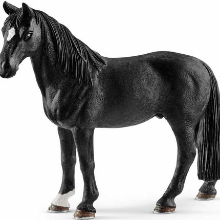 Tennessee Walker Gelding