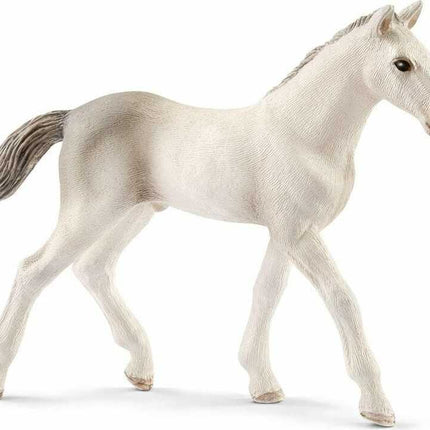Holsteiner Foal